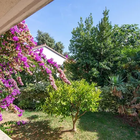 With Parking Space Pjescana Uvala, - 7349 דירה